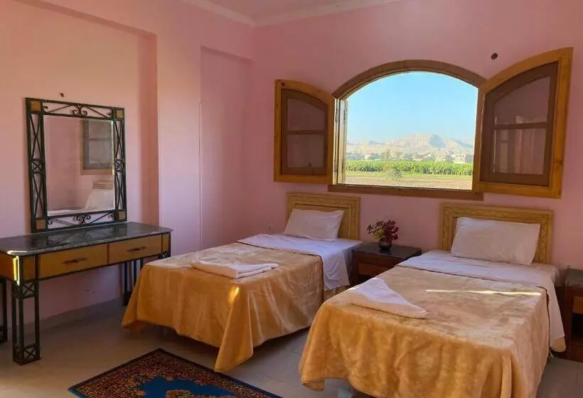 پانسیون Elsanosy Family Guest House   Luxor