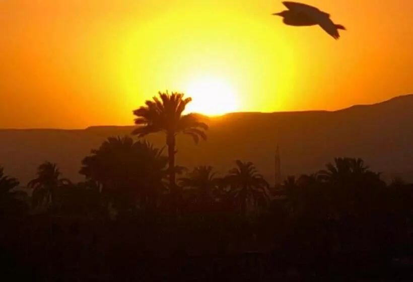 پانسیون Elsanosy Family Guest House   Luxor