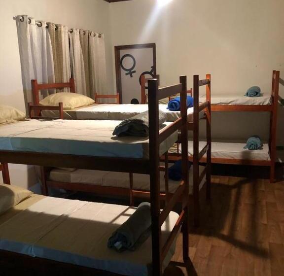 Hostel 4 Elementos 200 Metros Da Praia De Pernambuco E Do Mar Casado