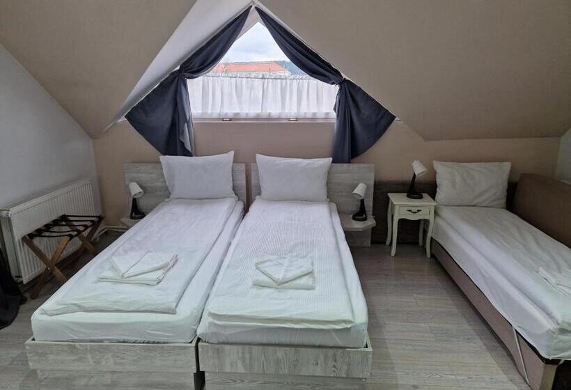 پانسیون Sepsi Relax