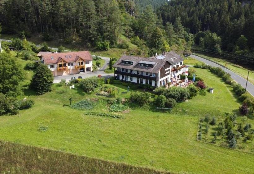 Отель Café Pension Krems