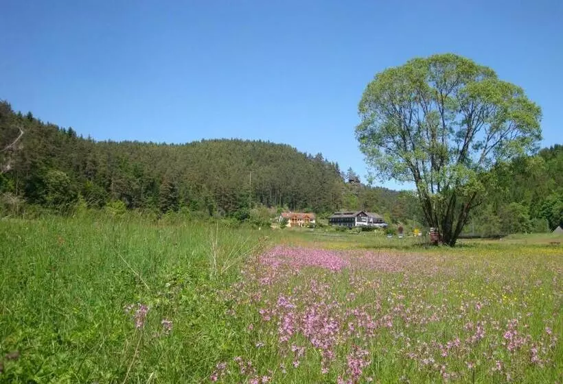 Hotelli Café Pension Krems