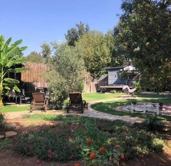 ペンション Tiny House Kayaköy Kumquat