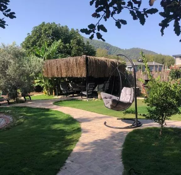 ペンション Tiny House Kayaköy Kumquat
