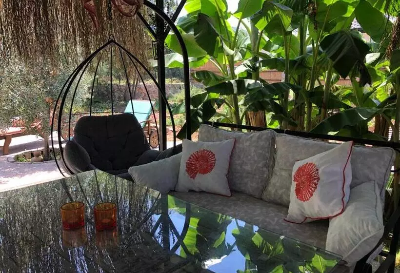 ペンション Tiny House Kayaköy Kumquat