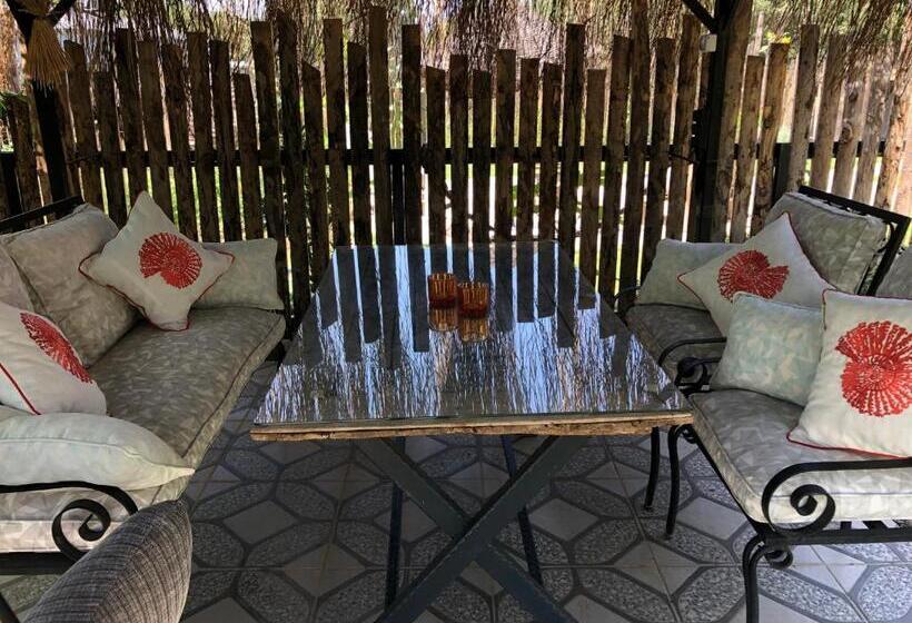 膳宿费 Tiny House Kayaköy Kumquat