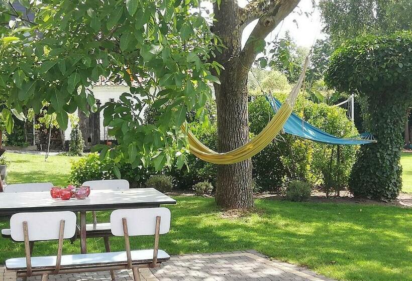 مبيت وإفطار Noest