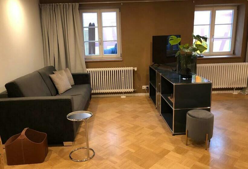 Der Gänsbühl Auf Der Stadtmauer