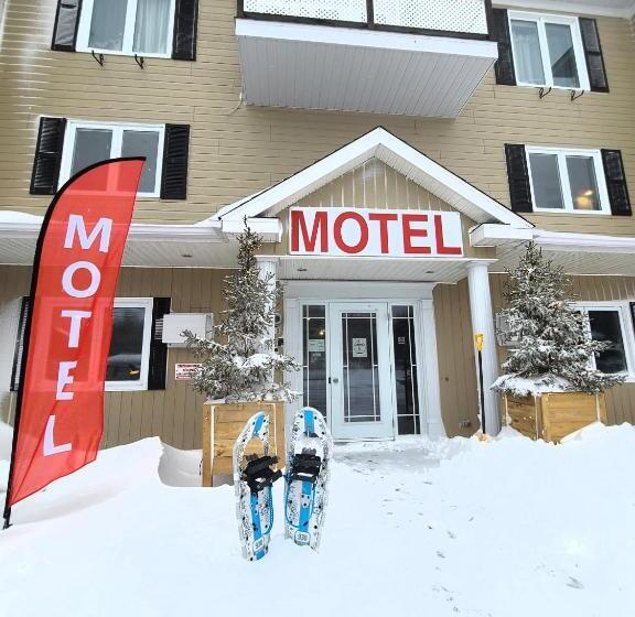 فندق Horizon 777