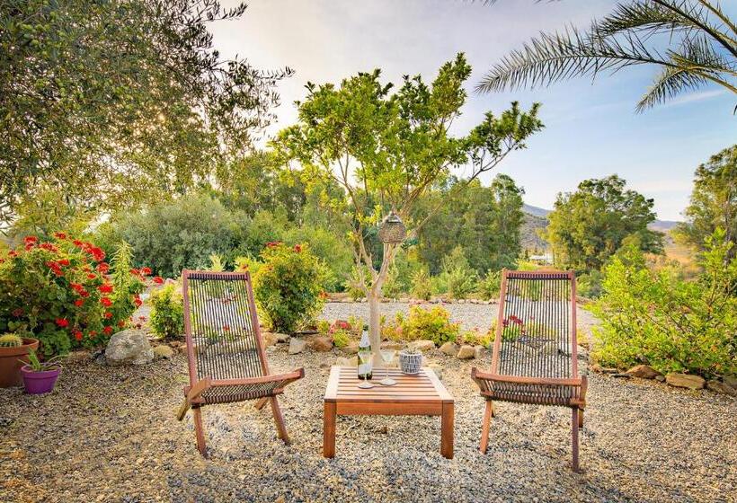 Bed and Breakfast Casa Dilica