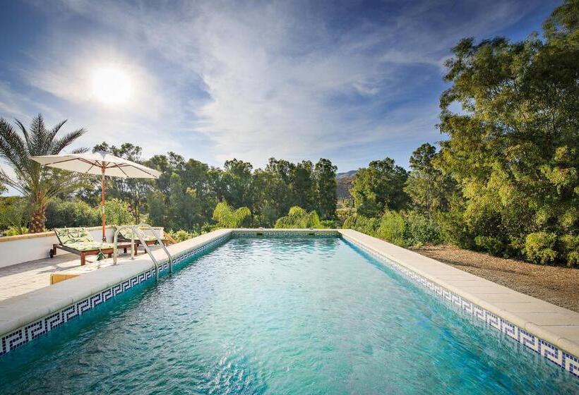 Bed and Breakfast Casa Dilica