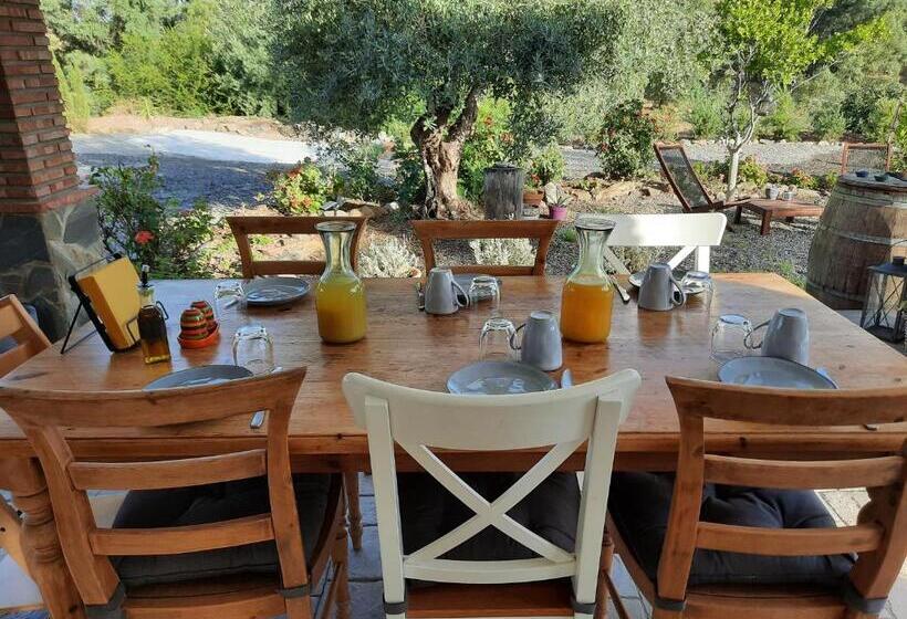 Bed and Breakfast Casa Dilica