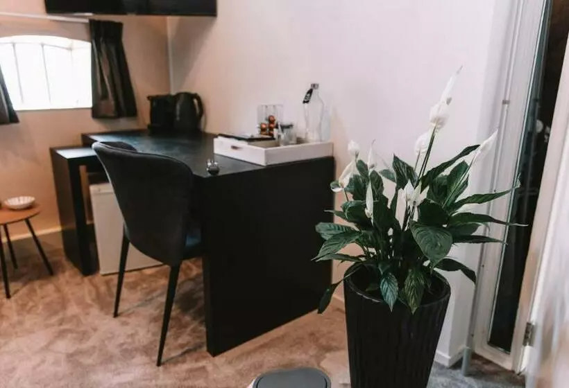 Harlingen Staete Wellness B&b Oase Van Rust En Luxe