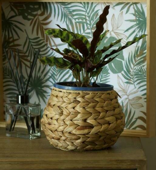 بنسيون Red Tail Retreat