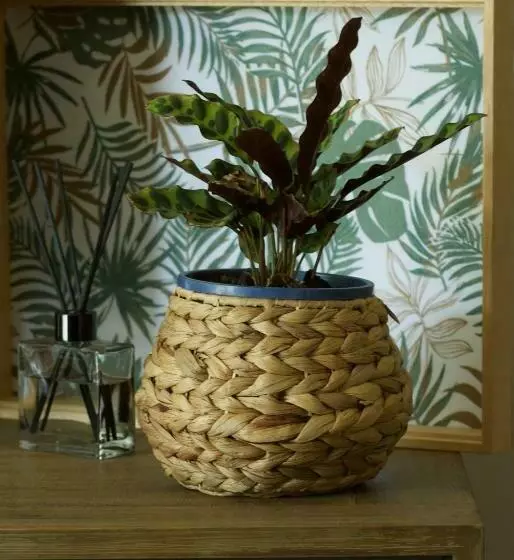 ペンション Red Tail Retreat