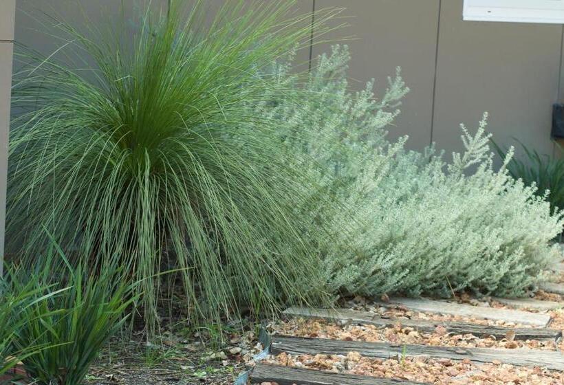 بنسيون Red Tail Retreat