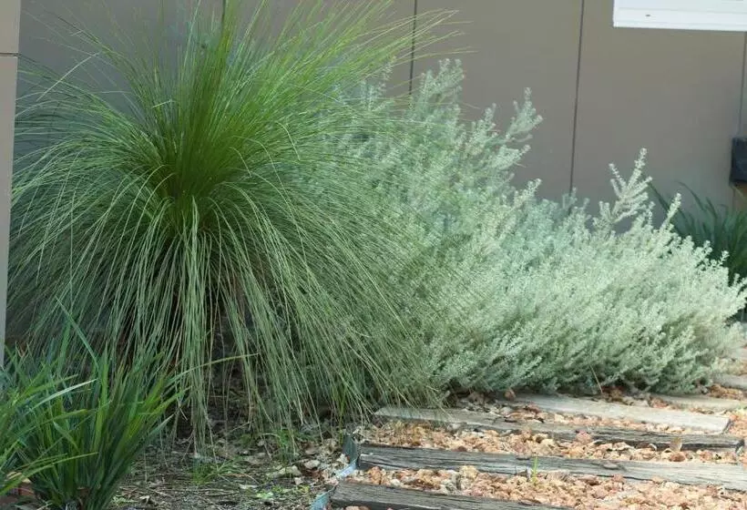 ペンション Red Tail Retreat