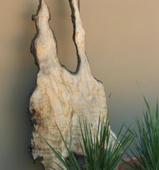 بنسيون Red Tail Retreat