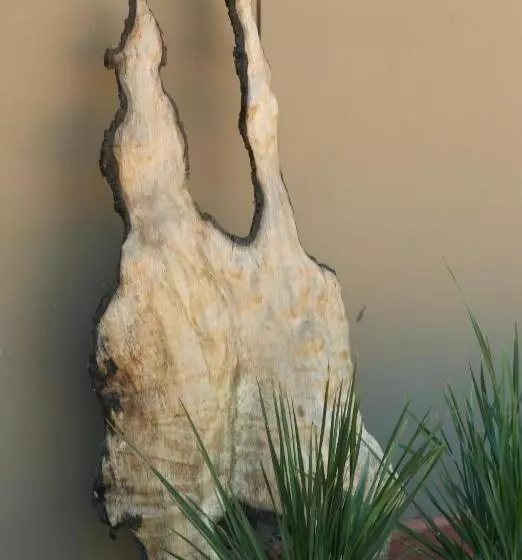 ペンション Red Tail Retreat