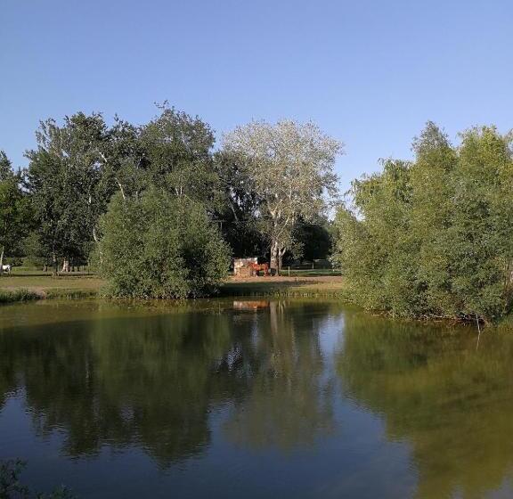 Bed and Breakfast Viktória Lovas Panzió
