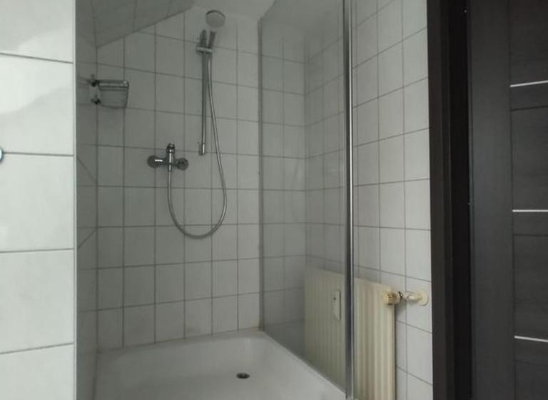 酒店 Pension Goldenes Vogtland