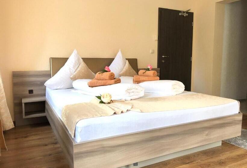 酒店 Pension Goldenes Vogtland