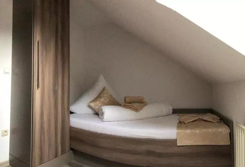 ホテル Pension Goldenes Vogtland