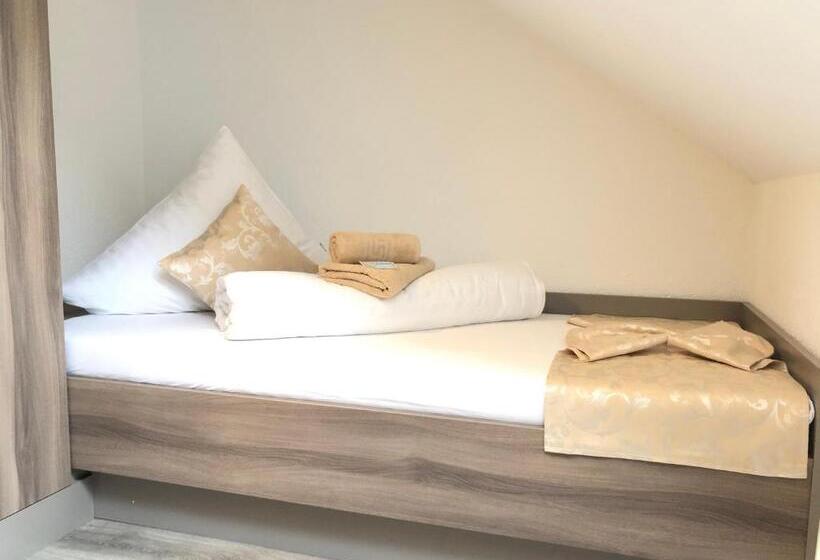 酒店 Pension Goldenes Vogtland