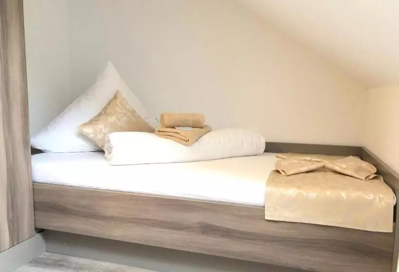 ホテル Pension Goldenes Vogtland