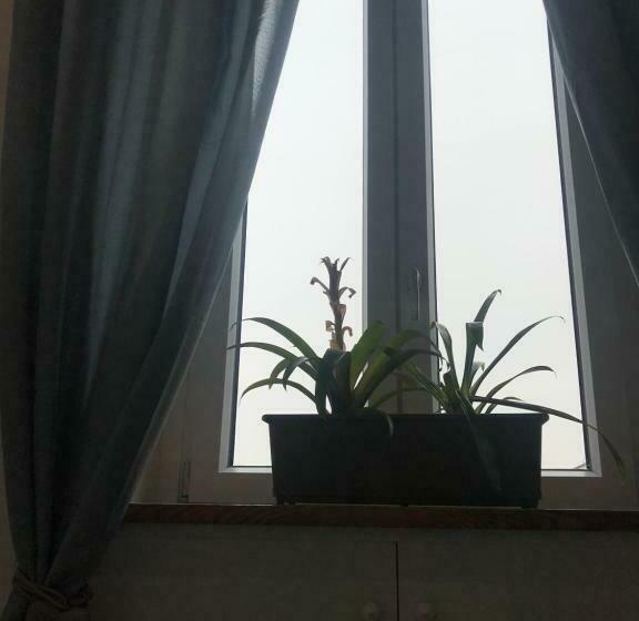 بنسيون Rosa Verde