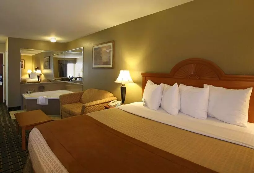 酒店 Best Western Zachary Inn