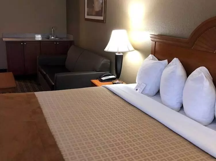 酒店 Best Western Zachary Inn