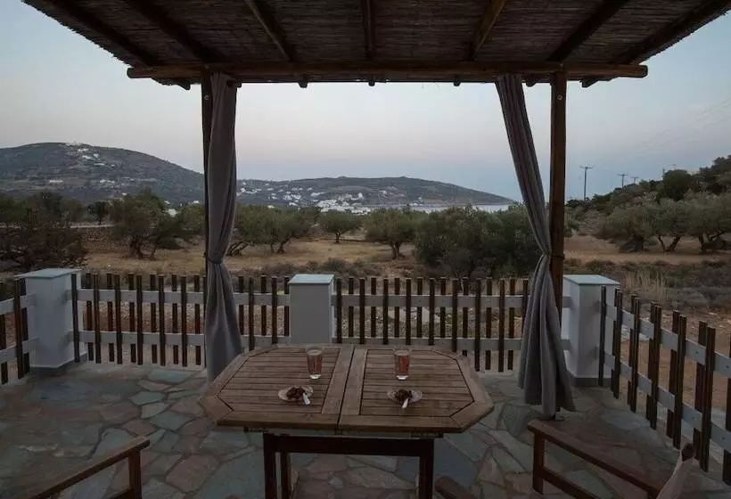 Hotel Evdokia Studios