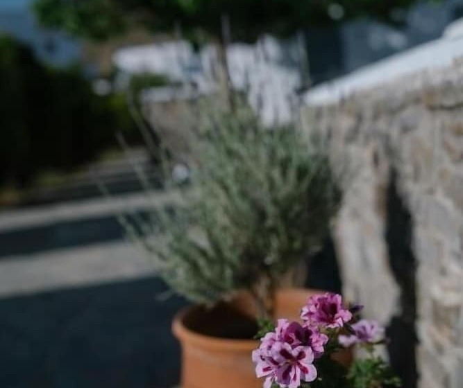 فندق Indigo Studios