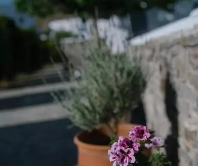 Отель Indigo Studios