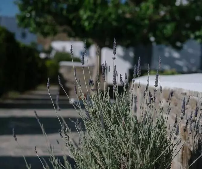 Отель Indigo Studios