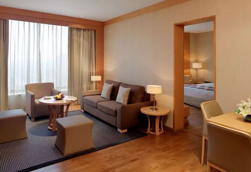 Radisson Blu Hotel New Delhi Dwarka