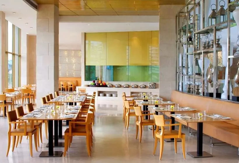 Radisson Blu Hotel New Delhi Dwarka