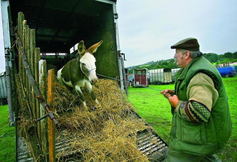 فندق River Island