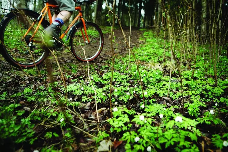 ホテル Selma Spa+