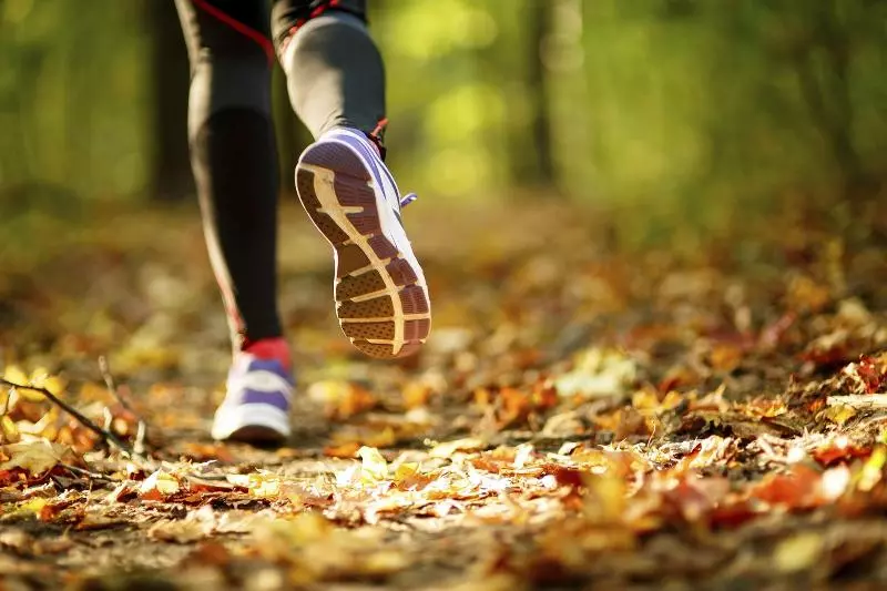 ホテル Selma Spa+