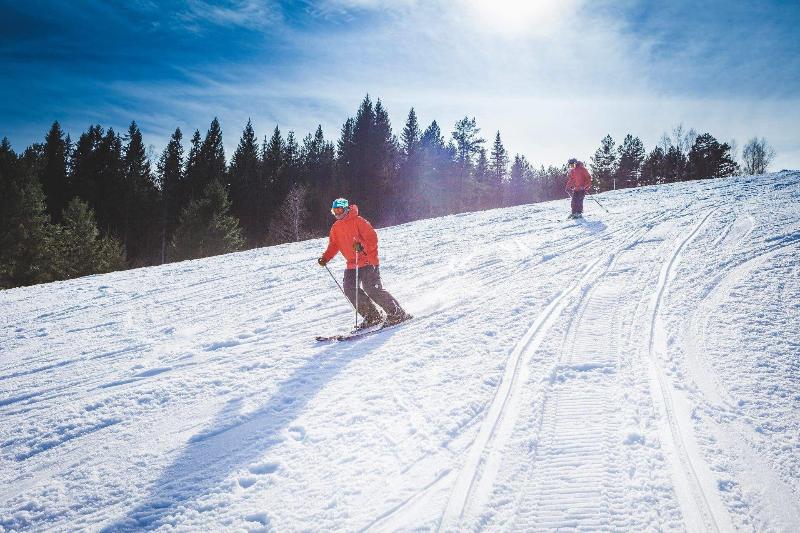 ホテル Selma Spa+