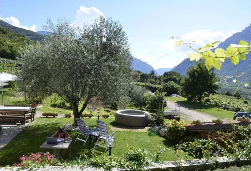 ベッドアンドブレックファースト Cà Ulivi