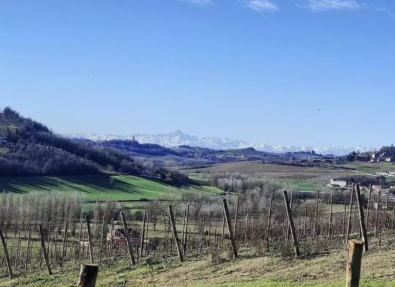ホテル Monfrà   Ospitalità Rurale, Vigneti E Cantina