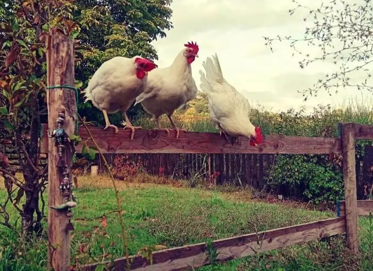 ホテル Monfrà   Ospitalità Rurale, Vigneti E Cantina