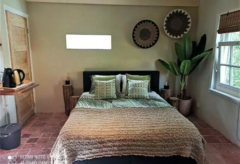 Pykes B&b