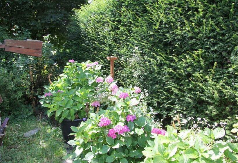 مبيت وإفطار Das Landhotel Zur Mühle