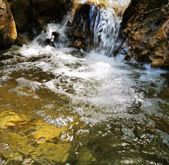 ベッドアンドブレックファースト L étang De La Tourne