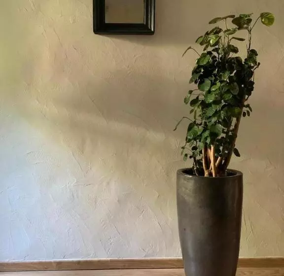 تختخواب و صبحانه Le Patio D Arles