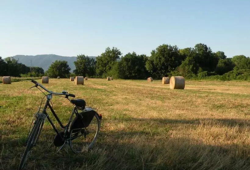 Aamiaismajoitus (B&B) Villa Galgani